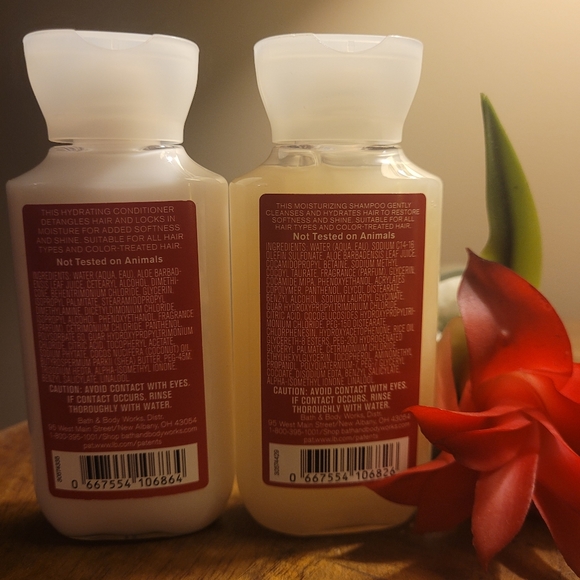 Bath & Body Works Hair Bbw Japanese Cherry Blossom Shampoo And Conditioner Set Poshmark